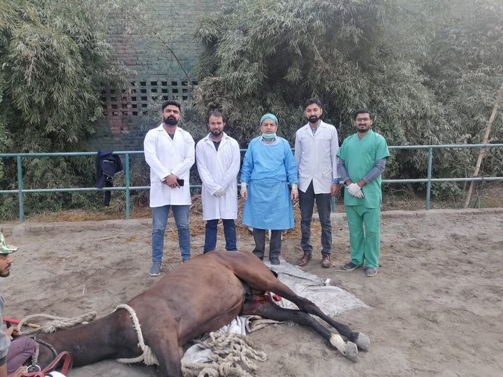 CALLVET ANIMALS & BIRDS HOSPITAL (CEODrAbdulWaheedFatim) in Lahore, Punjab