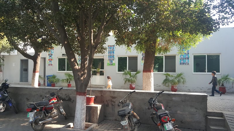 Chiniot Islamia School & College (Girls Campus) in Faisalabad, Punjab