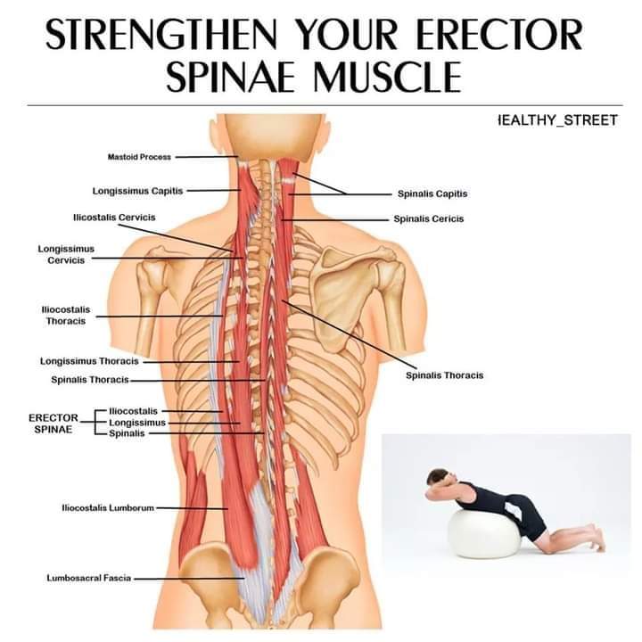 Al Qasim Physiotherapy and special child care center in Ghakhar, Punjab