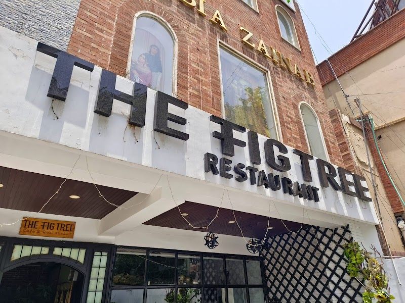 The Fig Tree in Lahore, Punjab