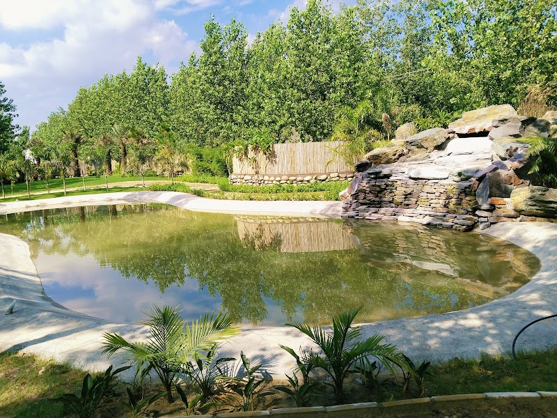 Solis Wellness Retreat Center in Tharoli, PB