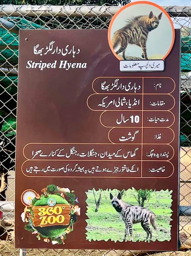 360 ZOO, DHA Multan in Multan, Punjab