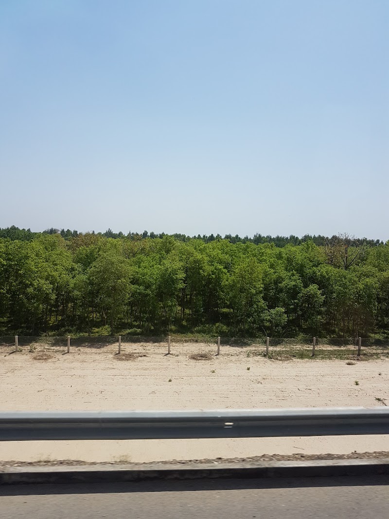 Rajana Forest Bhagat Wildlife Park in Chak 284 Gb, Punjab