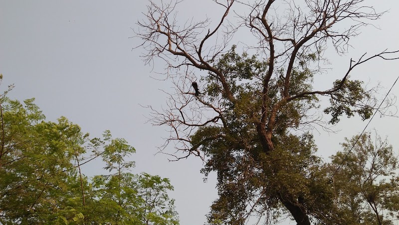 Old Sabzi Mandi Park in Khanewal, Punjab