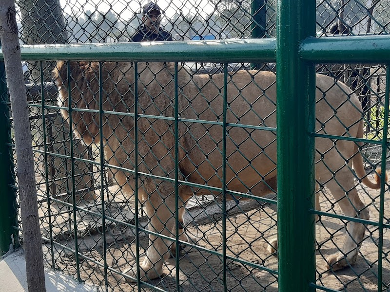 Citi Housing Zoo in Sialkot, Punjab