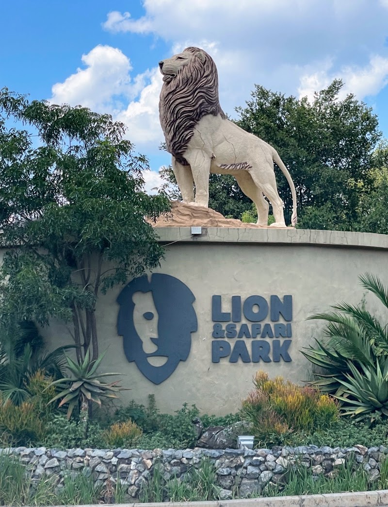 Lion & Safari Park in Broederstroom, NW