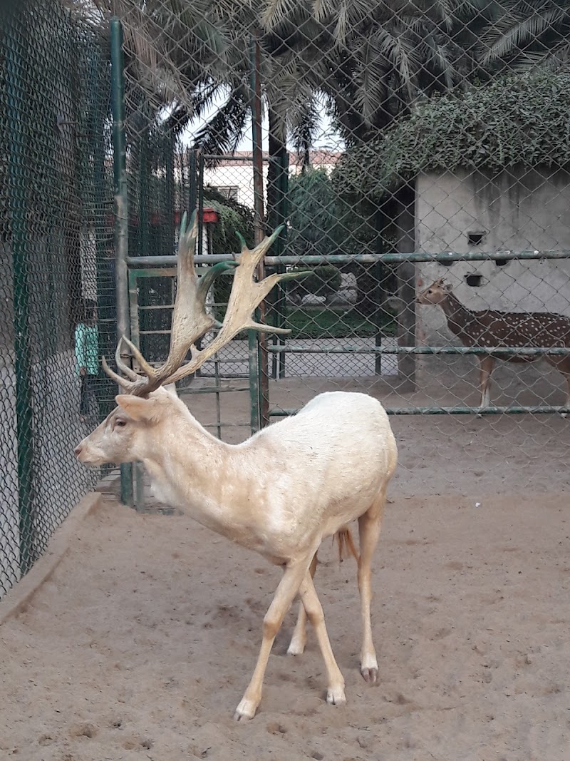 Safari zoo Bahria town in Lahore, Punjab
