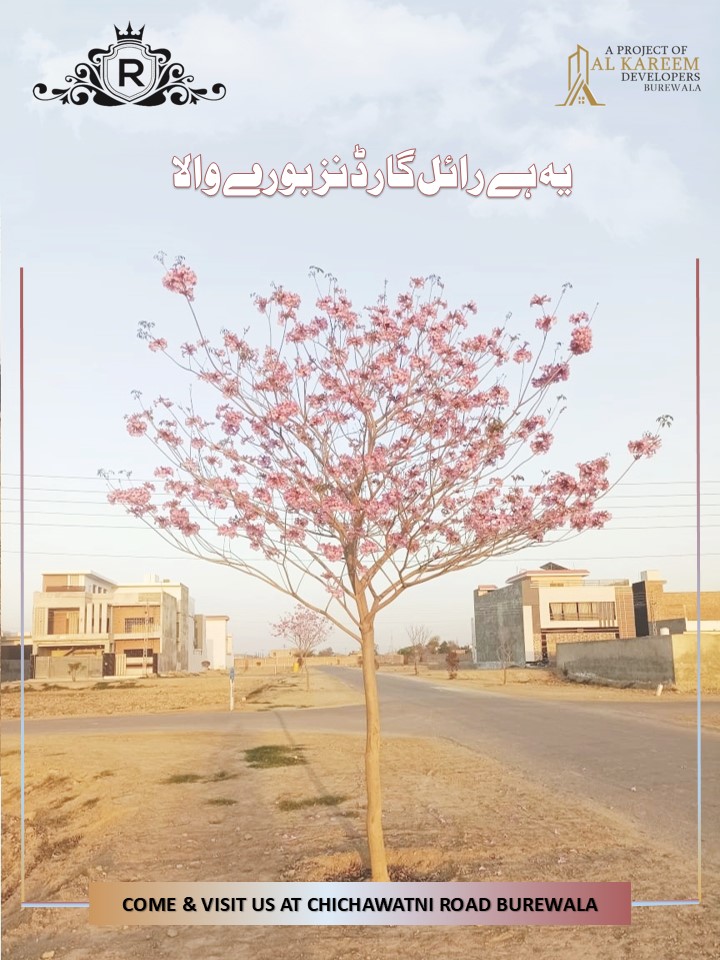 Head office Royal Gardens Burewala in Burewala, Punjab