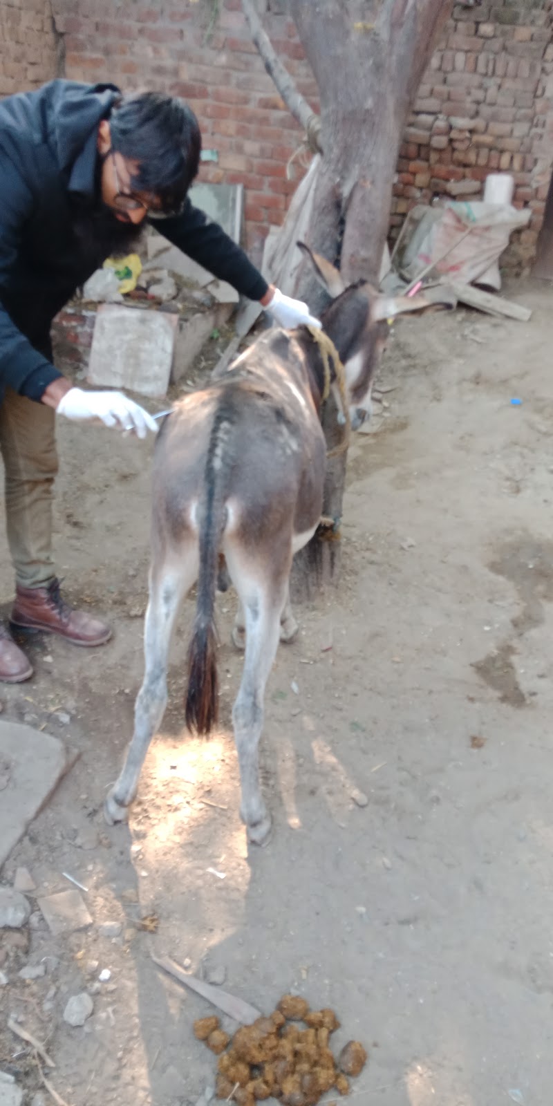 CALLVET ANIMALS & BIRDS HOSPITAL (CEODrAbdulWaheedFatim) in Lahore, Punjab
