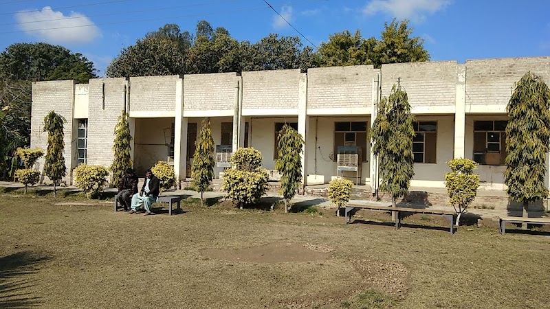 Agricultural Mechanization Research Institute AMRI Multan in Multan, Punjab