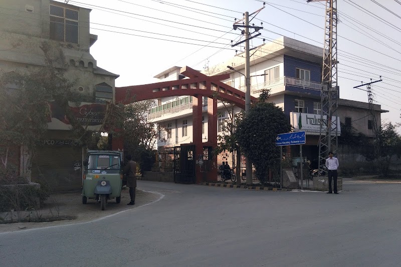 Holistic Healthcare Services in Lahore, Punjab