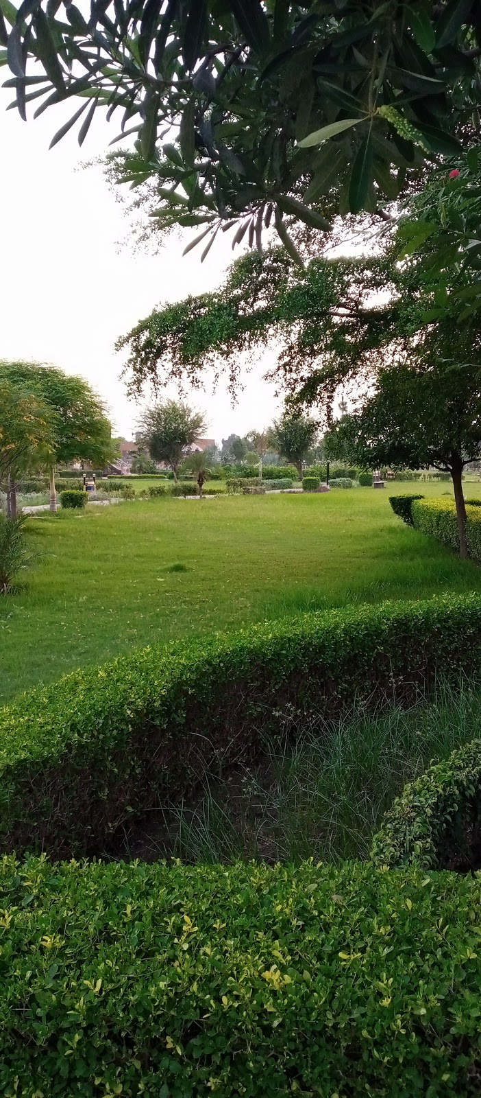 Regal City Sheikhupura in Sheikhupura, Punjab