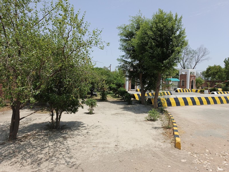 Punjab Danish Schools, Dera Ghazi Khan in Dera Ghazi Khan, Punjab