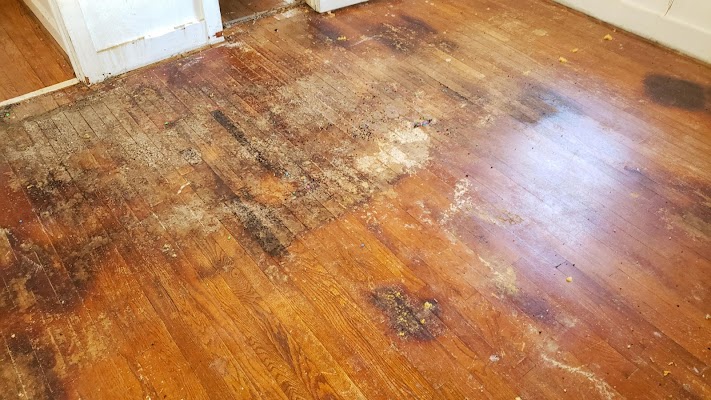 Independent Hardwood Floor Company Flooring Contractor in Littleton, CO