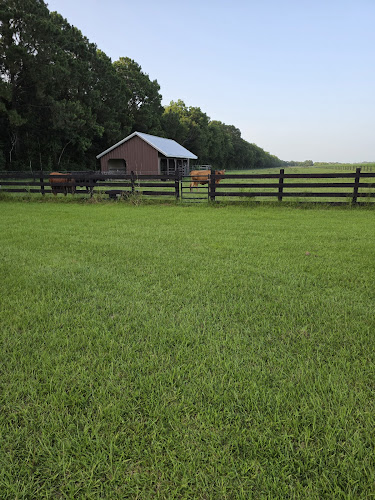 Stinson Fencing LLC