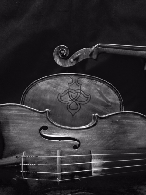 Eugene Violin Shop