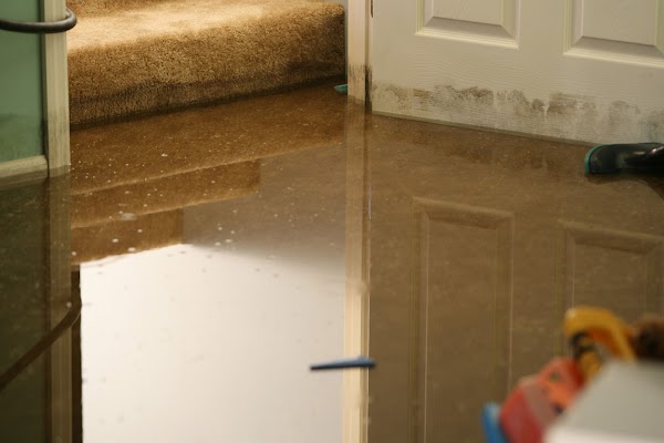 SERVPRO of Valdosta Water Damage Restoration Service in Valdosta, GA