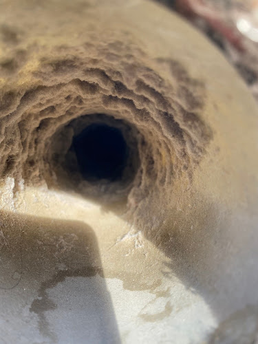 Dryer Vent Wizard of SE Saratoga and NE Schenectady