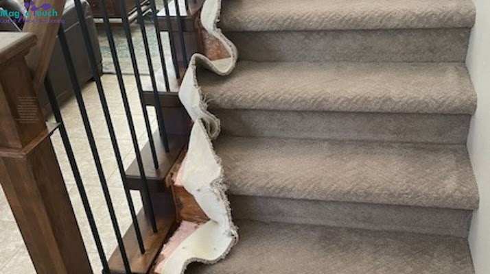 Magic Touch Carpet Repair And Cleaning Carpet Cleaning Service in Tempe, AZ