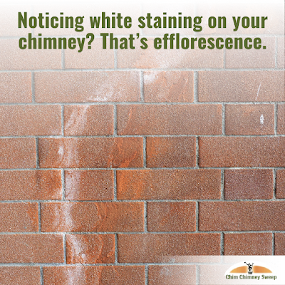 Chim Chimney Sweep Chimney Sweep in Framingham, MA