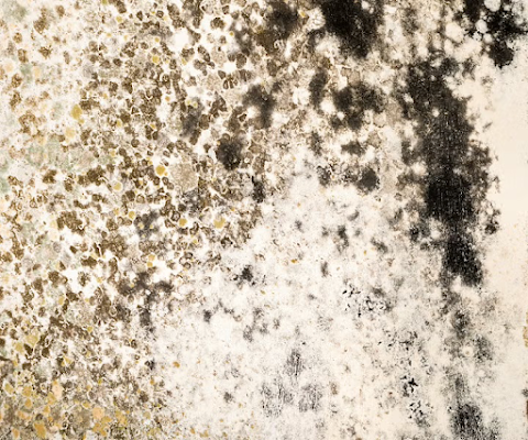 SERVPRO of Southern York County Water Damage Restoration Service in Springvale, ME