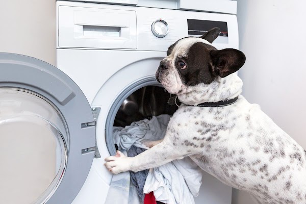Appliance King of America Appliance Repair Service in Boynton Beach, FL