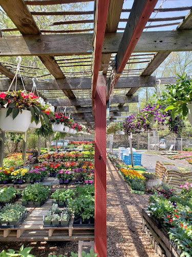 Santelli & Son's Landscape & Tree Care