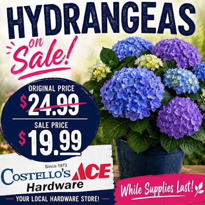 Costello's Ace Hardware of Great Neck Handyman in Great Neck, NY
