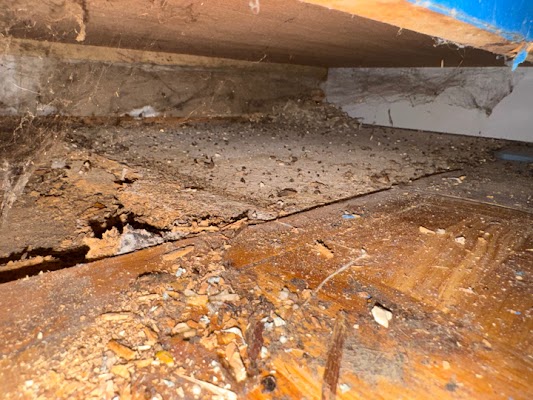 Best Option Restoration of Nashville Water Damage Restoration Service in Murfreesboro, TN
