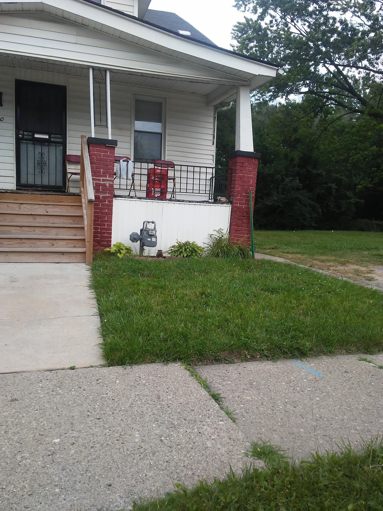 Motor City Pest Control Pest Control Service in Detroit, MI
