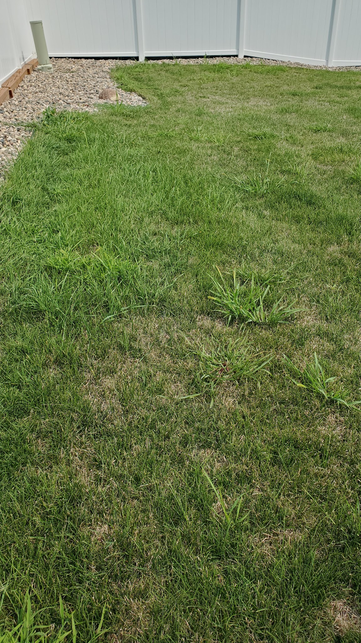 GreenCare