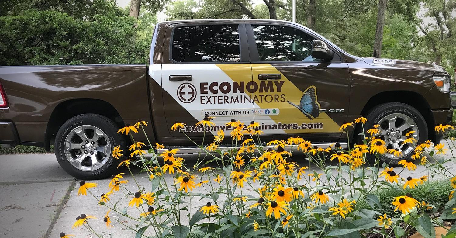 Economy Exterminators