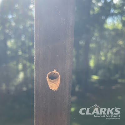 Clark's Termite & Pest Control Pest Control Service in Raleigh, NC