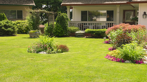 Empire Lawn Care