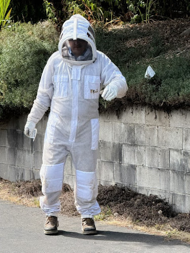 Insight Pest Control - Bremerton