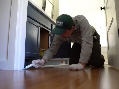 Sunrise Pest & Turf Management Pest Control Service in Bremerton, WA