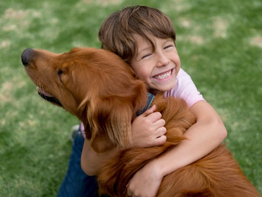 American Pest Control Pest Control Service in Athens, GA