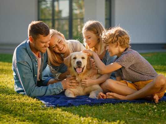 American Pest Control Pest Control Service in Athens, GA