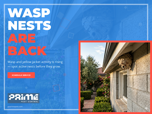 Prime Pest Control Pest Control Service in Huntsville, AL