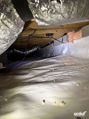 Scout Pest Control Huntsville Pest Control Service in Huntsville, AL