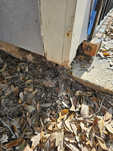 Terminator Pest Control