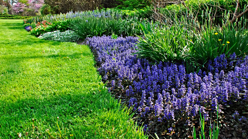 Landscape & Forestry Services