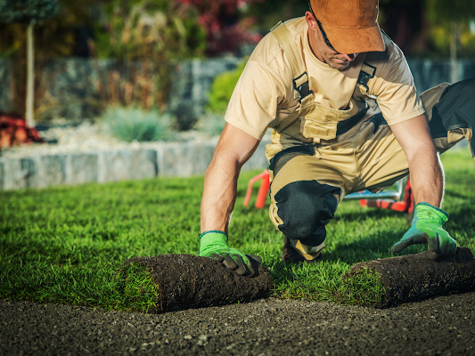 Magnolia Landscape Construction Landscaper in Knoxville, TN