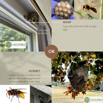 Green Shield Pest Solutions Pest Control Service in Somersworth, NH