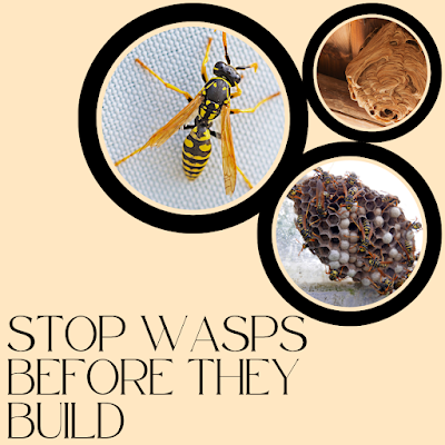 Green Shield Pest Solutions Pest Control Service in Somersworth, NH