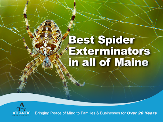 Atlantic Pest Control Pest Control Service in Augusta, ME
