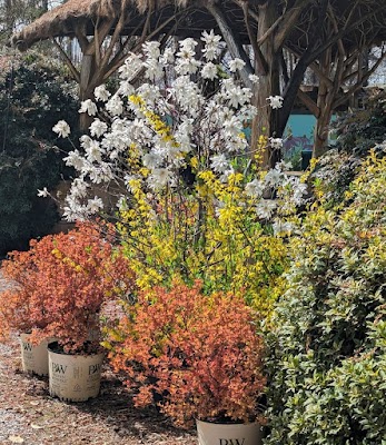 Kiefer Landscaping Inc Plant Nursery in Durham, NC