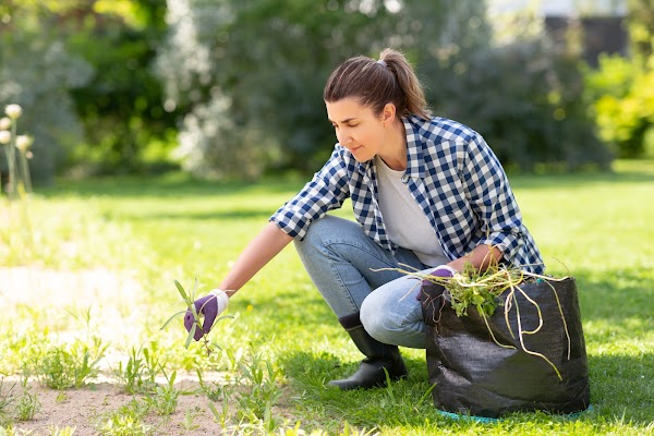 Agape Lawn Company Lawn Care Service in Durham, NC