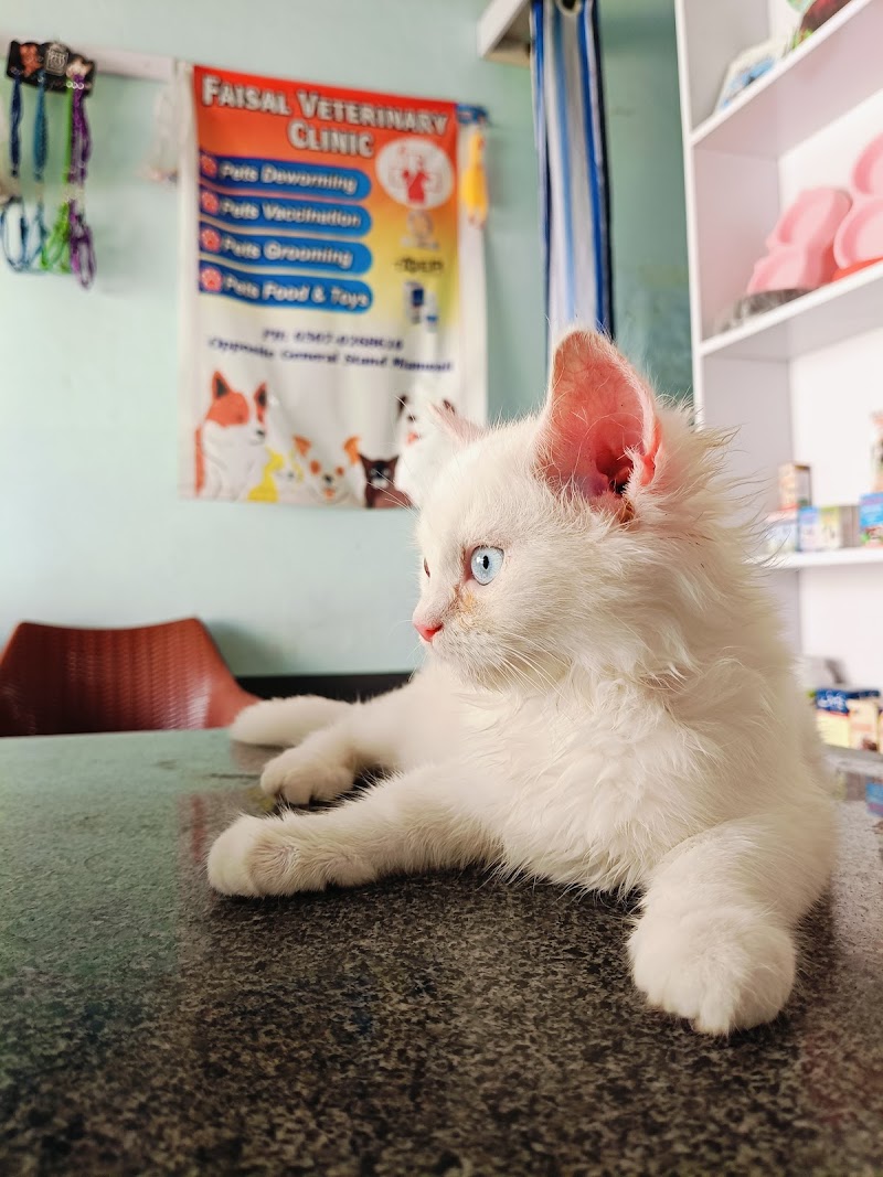 Faisal Veterinary Clinic Mianwali in Mianwali, Punjab