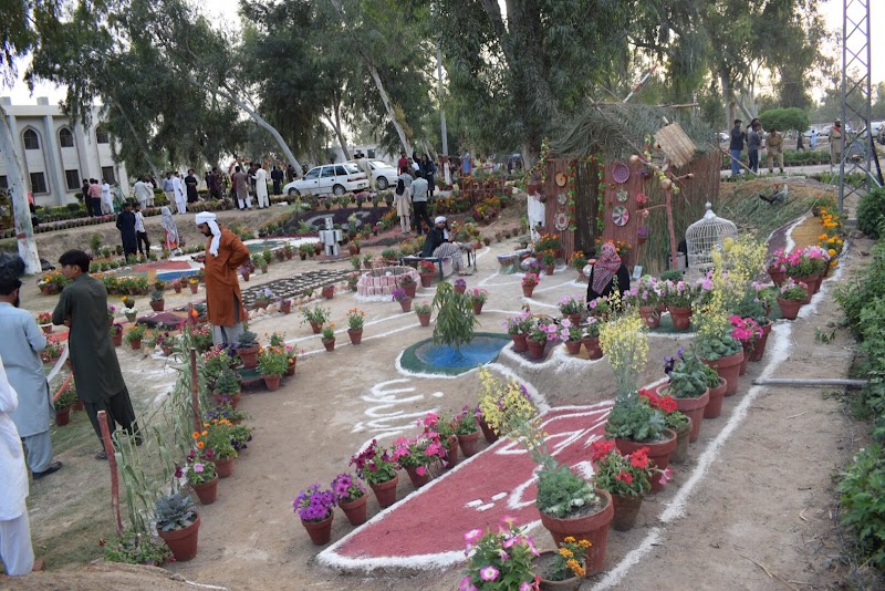 The Islamia University of Bahawalpur - IUB Bahawalnagar New campus in Bahawalnagar, Punjab